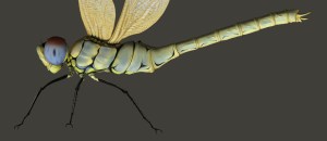 FemaleRender_Side Kopie 2